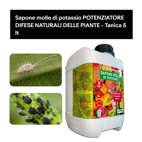 Sapone molle potassio 5lt - sapone,