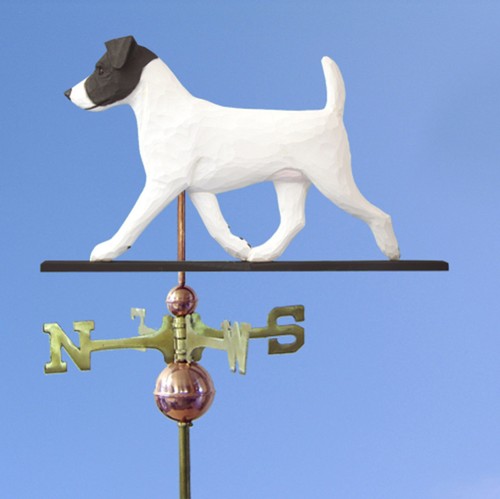 Jack russell terrier - jack,