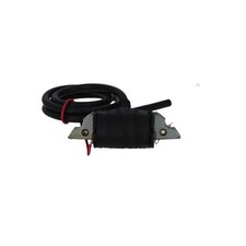 INTERNAL AT COIL for Moto