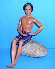 %***Barbie Fashionistas