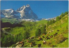 BREUIL - MONT CERVIN - PASCOLI DELLA FONTINA - VALTOURNANCHE (AOSTA)