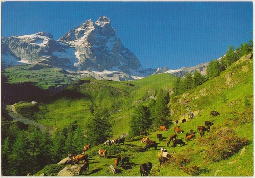 Breuil mont cervin pascoli - -,