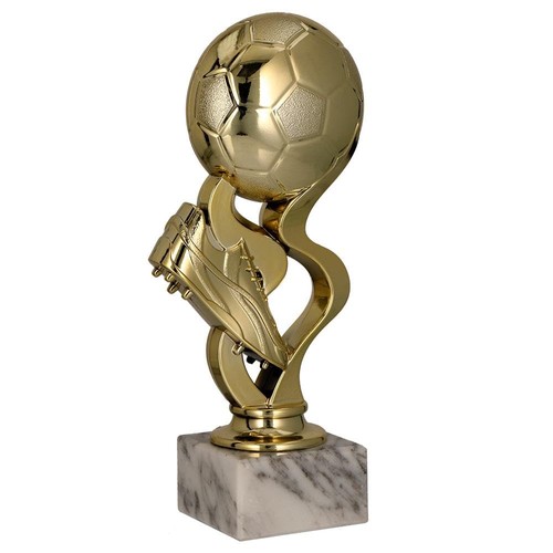Larius trofeo calcio - trofeo,