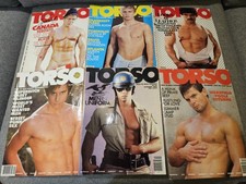 Torso - Torso's Stallion Lot