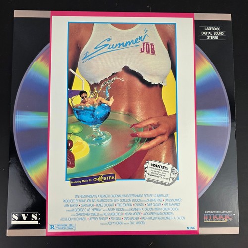 Summer job laserdisc 1989 - summer,