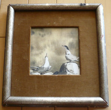 TASIA SMITH, NEVADA CITY CA