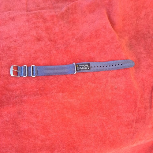 Cinghia spedizione timex - cinghia,