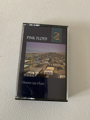 Pink floyd momentary - pink, lapse