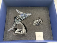 Swarovski SCS Edizione Annuale
