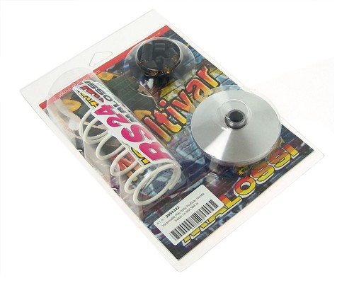 Variatore malossi multivar - variatore,
