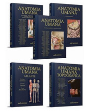 anatomia del gray libri nuovi