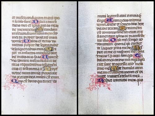 Grafia pergamena foglia - pergamena,