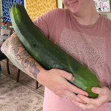 Zucchine Giganti Frutti Oltre 4kg – 15 Semi – Zucchine Enormi, Produttive, Ideal