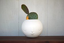 Testa di vaso Yoskay Yamamoto (bianco satinato)