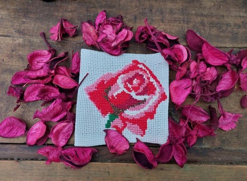 Quadretto ricamo rosa - ricamo, "rosa"