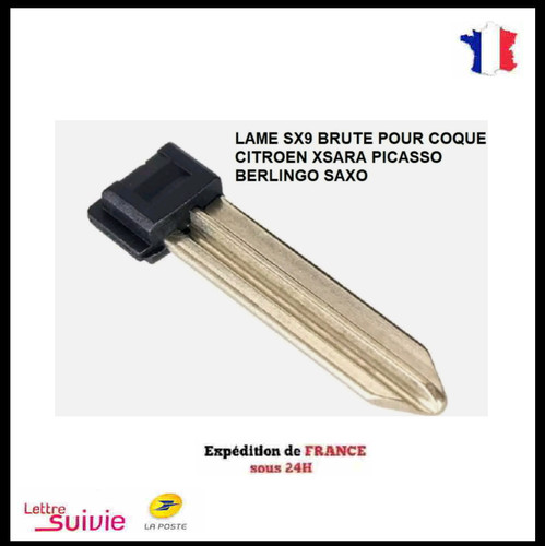 Lame sx9 brute pour - lame, clé