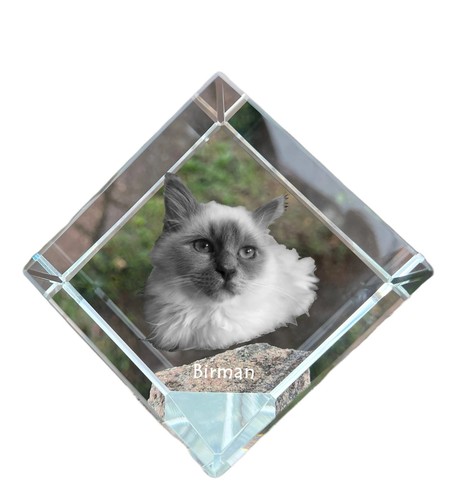 Birma pendente collana - birma,