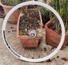 NOS GIPIEMME COPERTONCINO POSTERIORE PISTA/STRADA FORI RUOTA 32 RUOTE