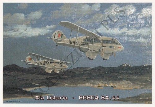 Cartolina publicard 806 - 806:, breda