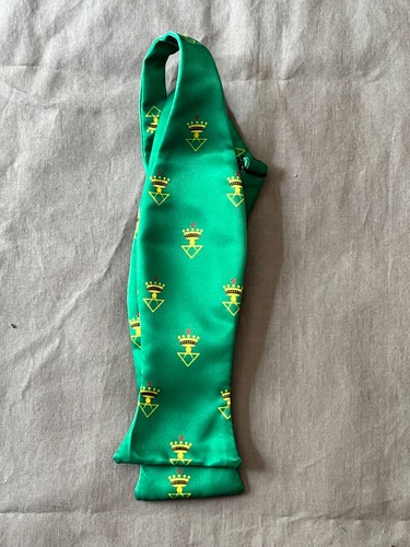 Cravatta con fiocco - , green