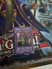Yugioh 303-051 Paladino Oscuro