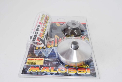 519019 variatore multivar - 519019,
