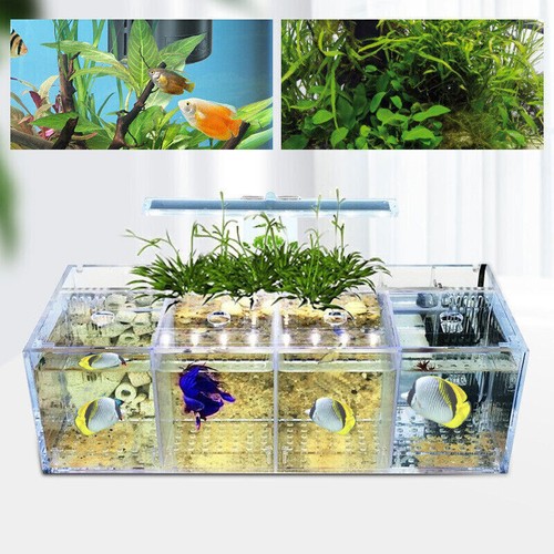 Acquaponic fish tank griglie - acquaponic,
