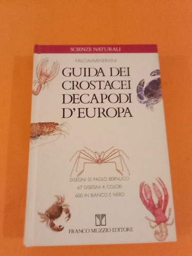 Falciai minervini guida - guida, dei