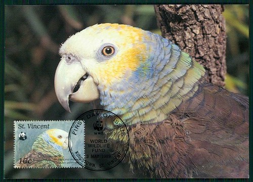 San vincent wwf fauna - san, mk