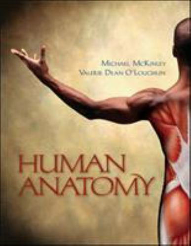 Human anatomy valerie - human,