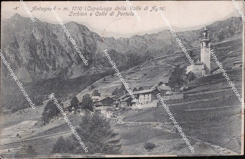 Cm499 cartolina antagnod - cm499,