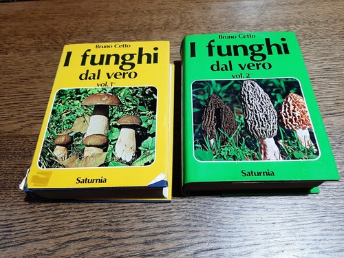 Bruno cetto funghi dal - bruno, cetto,