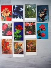 Lotto  24 pz Cartoline