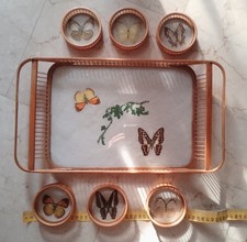 Vassoio vintage con farfalle e 6 sottobicchieri - Animali veri sotto vetro - '70