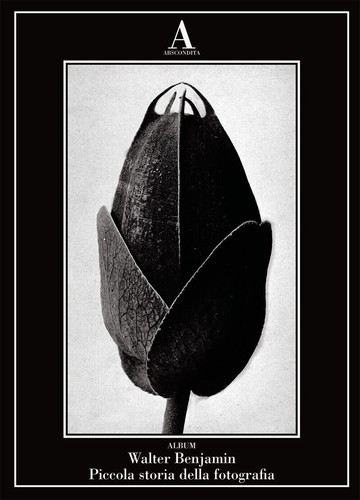 Walter benjamin piccola - walter,
