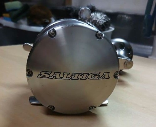 Mulinello daiwa saltiga - mulinello,