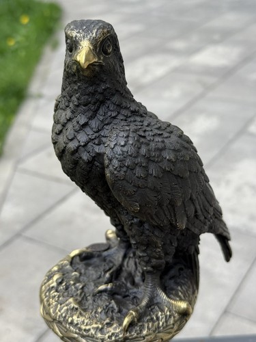 Statua aquila bronzo scultura - bronzo,