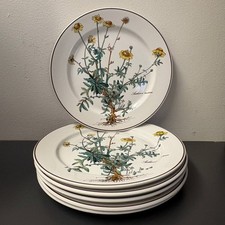 Villeroy & Boch Botanica