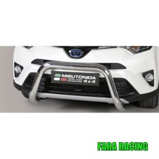 Misutonida EC/SB/401/IX