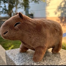 Capibara Peluche Peluche
