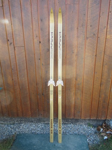 Bellissimi vecchi sci neve - vecchi,