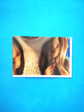 FIGURINA L'ERA GLACIALE DELL'ESSELUNGA ANNO 2016 DA COLLEZIONE NUMERO 89- (165)