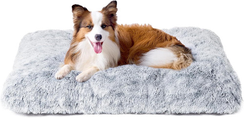 Cuscino per cani - cuscino,
