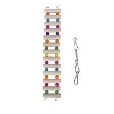  Accessori Pappagalli Grandi