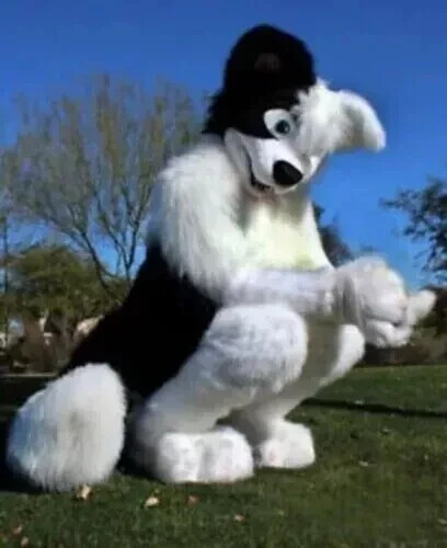 Costume mascotte pelliccia