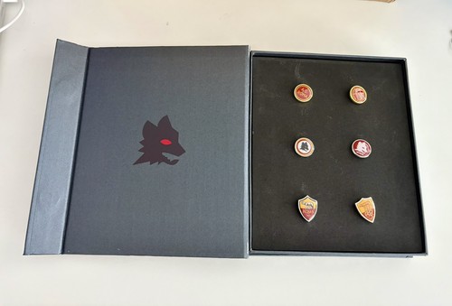 Pin spilla badge distintivo - 6,