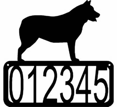 Australian cattle dog blue - cattle, dog/blue
