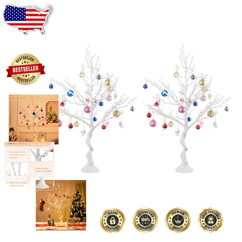 Albero manzanita bianco - albero,