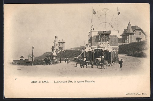 Cpa bois cise l - bois, de