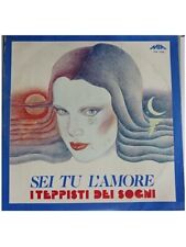 LP Vinile 33 Giri I Teppisti